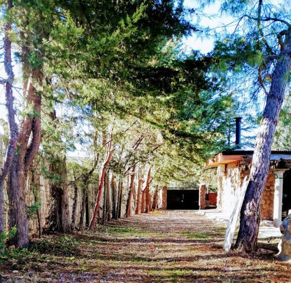La Cabana De Piedra Ruidera Exteriér fotografie